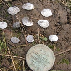 РљРѕРїРёСЏ (2) IMG_0484.JPG