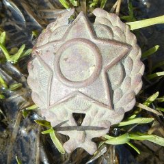 DSCN1672.JPG